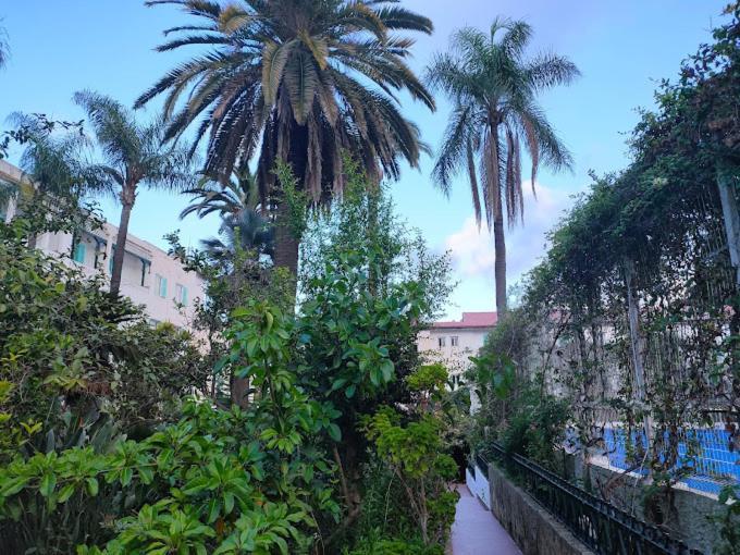 Hotel El Djazair El Mouradia Exterior photo